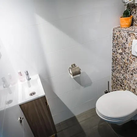 Wellnesshuis Met Jacuzzi En Sauna In Het Bos Hébergement de vacances