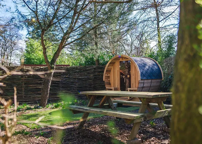 Wellnesshuis Met Jacuzzi En Sauna In Het Bos *