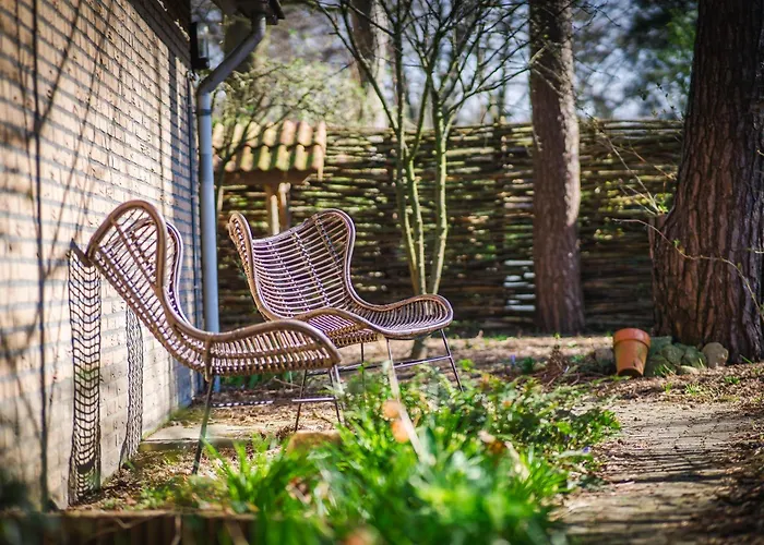 Wellnesshuis Met Jacuzzi En Sauna In Het Bos Люнтерен