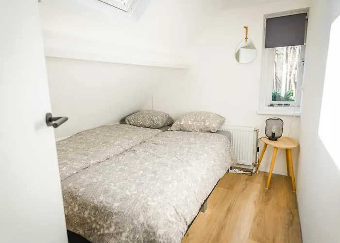 Wellnesshuis Met Jacuzzi En Sauna In Het Bos