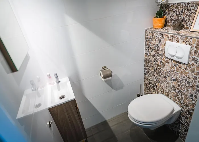 Wellnesshuis Met Jacuzzi En Sauna In Het Bos Дом отдыха