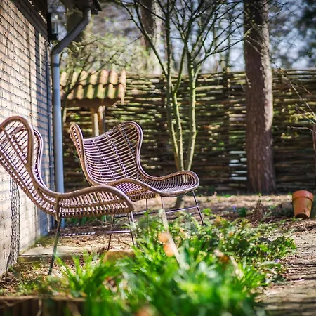 Wellnesshuis Met Jacuzzi En Sauna In Het Bos Lunteren