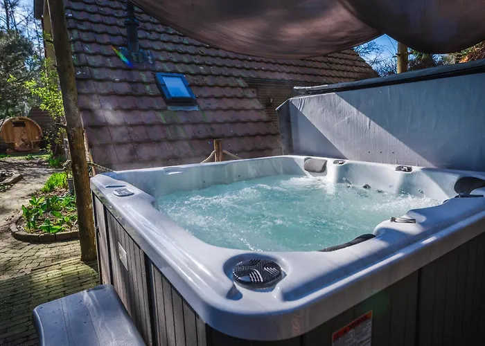 Wellnesshuis Met Jacuzzi En Sauna In Het Bos * Lunteren