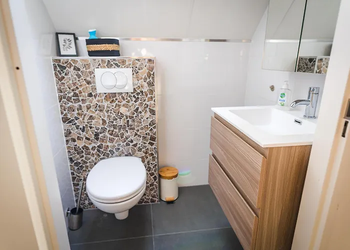 Vakantiehuis Wellnesshuis Met Jacuzzi En Sauna In Het Bos Lunteren